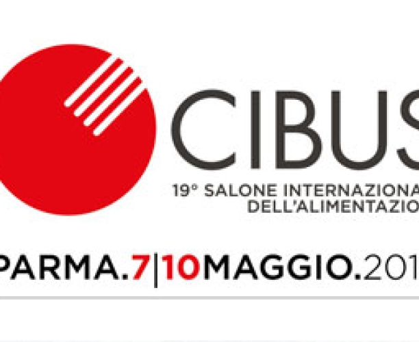 Instore Marketing: The Experimental way - Cibus