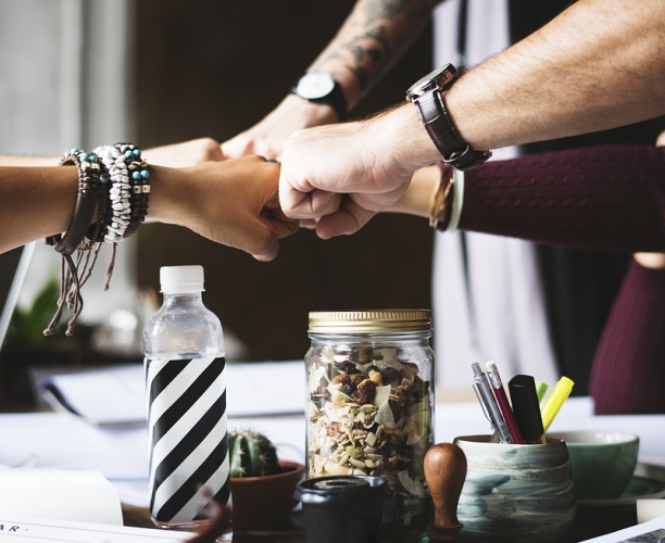 Ipsos training konference