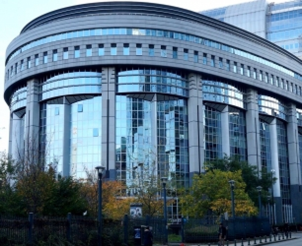 Does circular economy affect corporate performance and reputation?