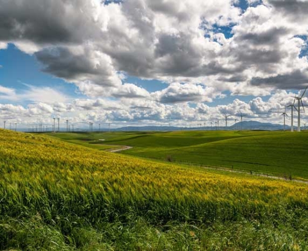 Устойчивое развитие
