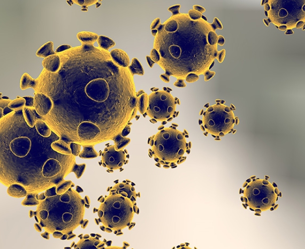 coronavirus