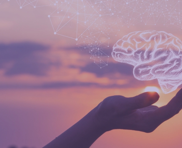 Creative Spark I Creatività I Ipsos.Digital I Webinar I Ipsos 