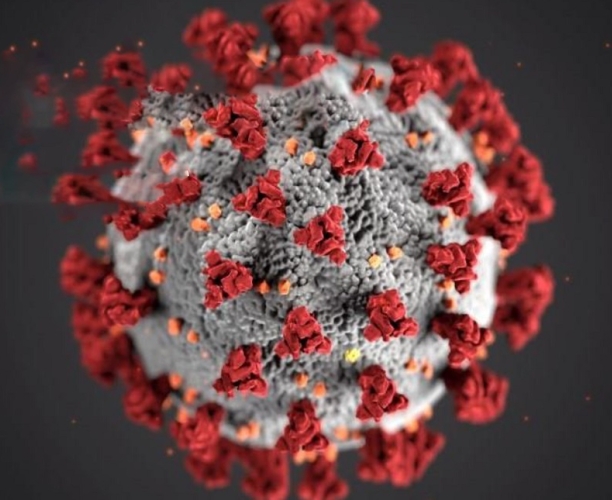 Lessons from the coronavirus crisis | Webinar | Ipsos