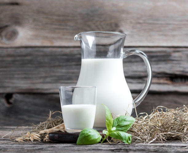  Особенности потребительских предпочтений молочных продуктов