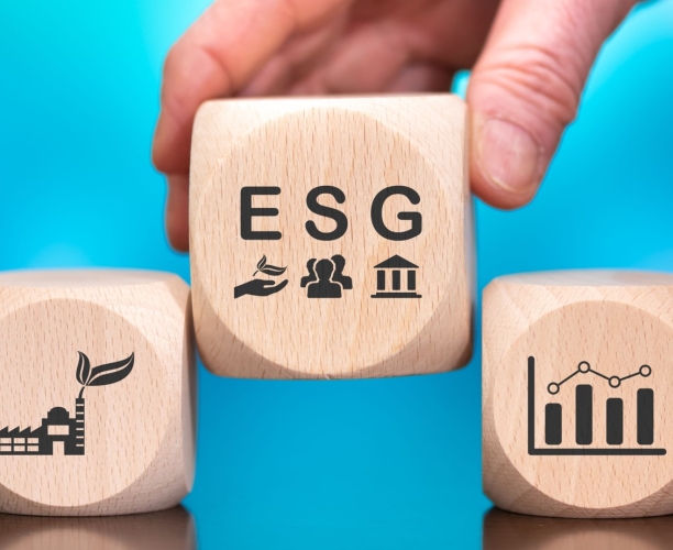 Бренды со смыслом