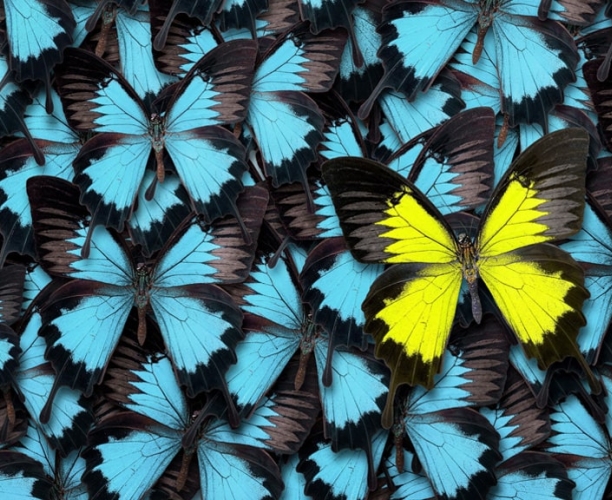 KEYS - Standing out from the crowd | Ipsos