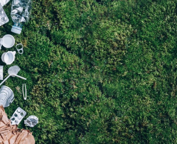 Ipsos | Synthesio | Webinar | Sustainability