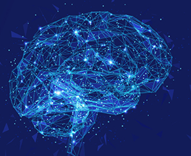 Bild eines KI-Gehirns