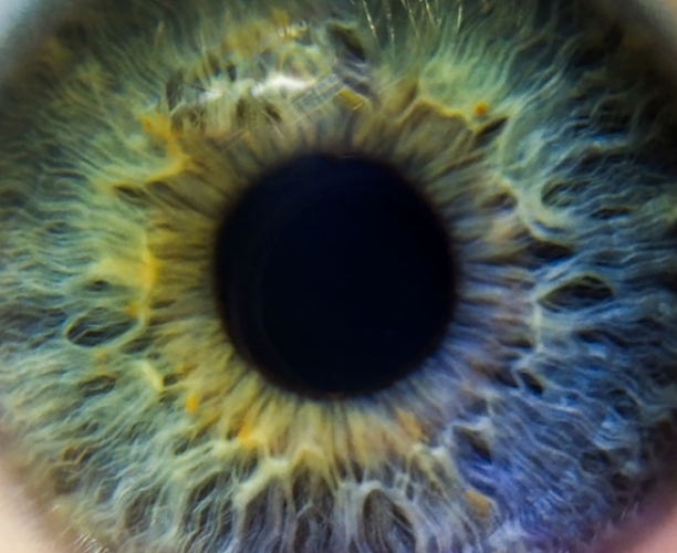 Perils of Perception