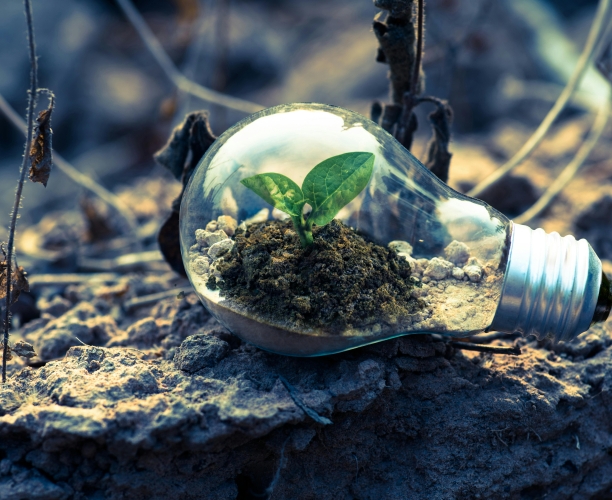 ESG: Jak na udržitelnost v globální nejistotě?