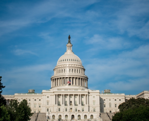2022 Midterm Election Senate
