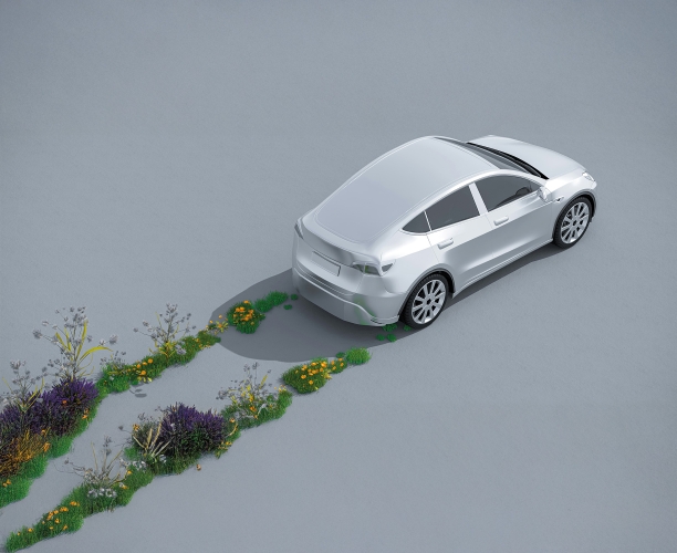 Animiertes Auto, das statt einer Spur Wiese hinter sich lässt