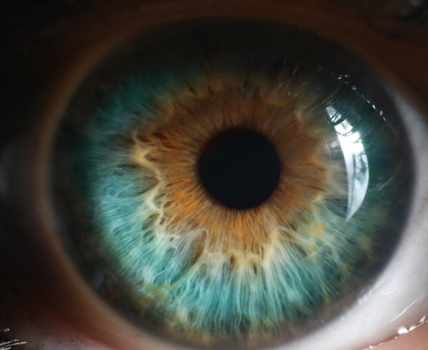 [Webinar] KEYS - The Perils of Perception: Facts vs Fiction?