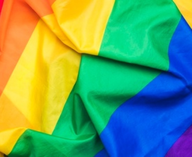 Companies/ brands treating LGBTQ with equality backed more by urban Indians 