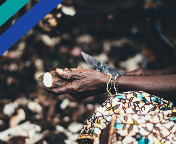 Focus on Africa | Ipsos Update | August 2021