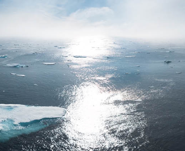 What Worries Denmark | August 2021 | Ipsos