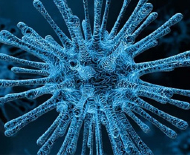 Covid-19 | North American are worried | Coronavirus pandemic | Ipsos