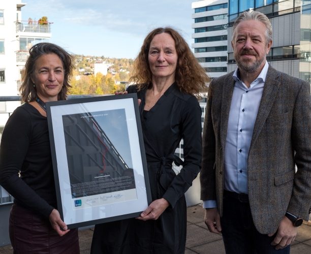 Omdømmeprisen 2021 Utdeling