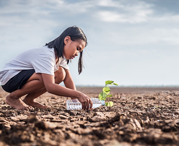 Ipsos | What the Future | Earth