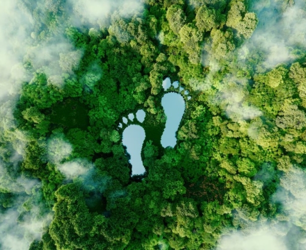 Taking steps towards sustainable travel