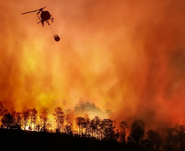 World Worries Aug 22