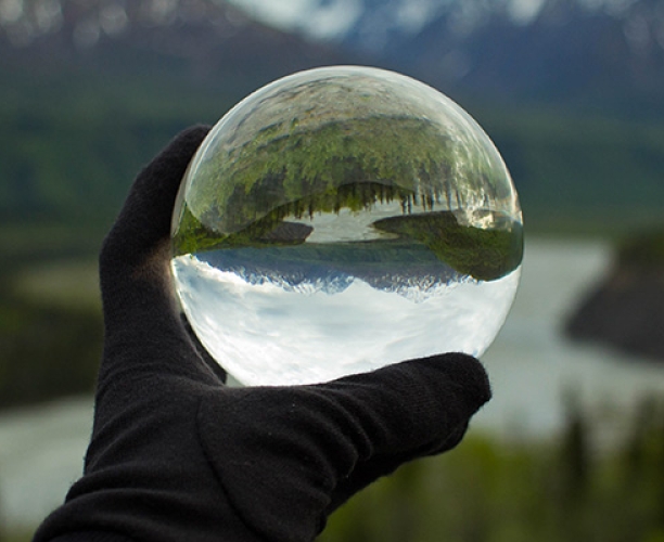 Ipsos | Global Advisor | Predictions