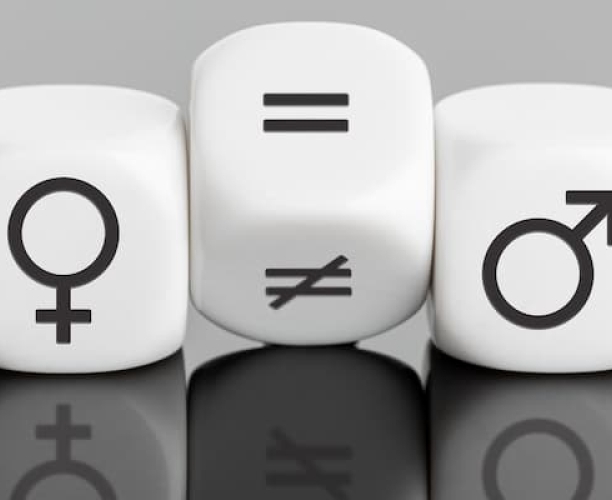 Ipsos | Data Dive | Women Equality