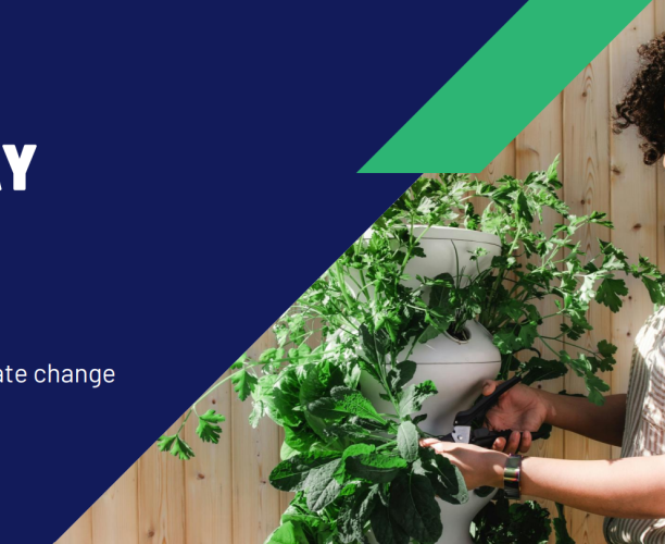 Ipsos Earth Day Survey