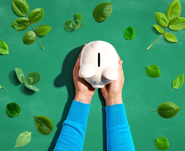 Studie zum Earth Day 2024