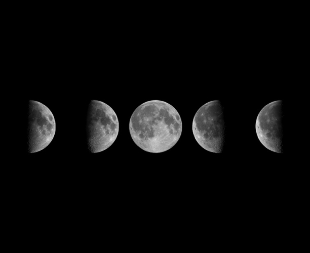 lunar cycle