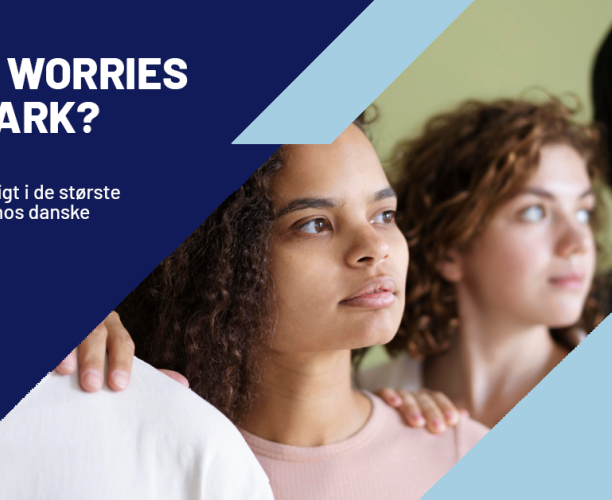 What Worries Denmark? - September 2024