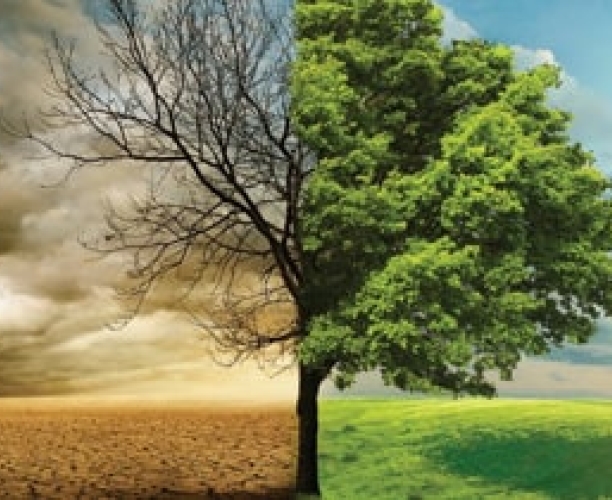 Climate Change | What Worries Denmark | Ipsos 2021