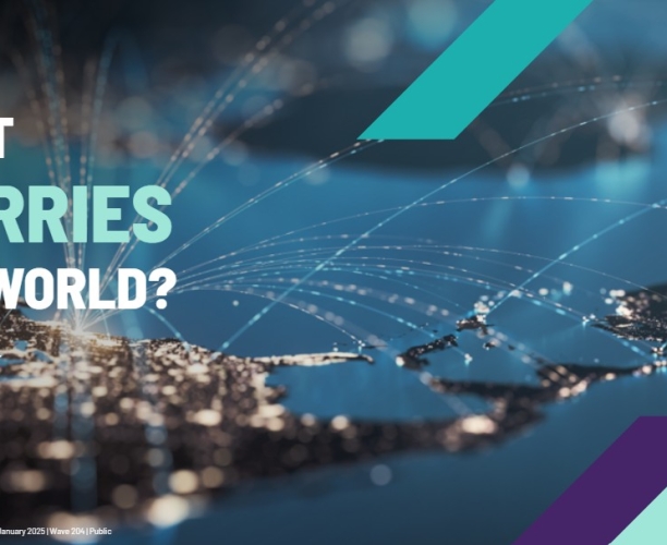 Ipsos What Worries the World - Jan 2025