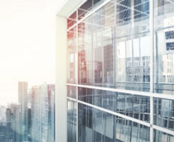 Wealth Insights 2018