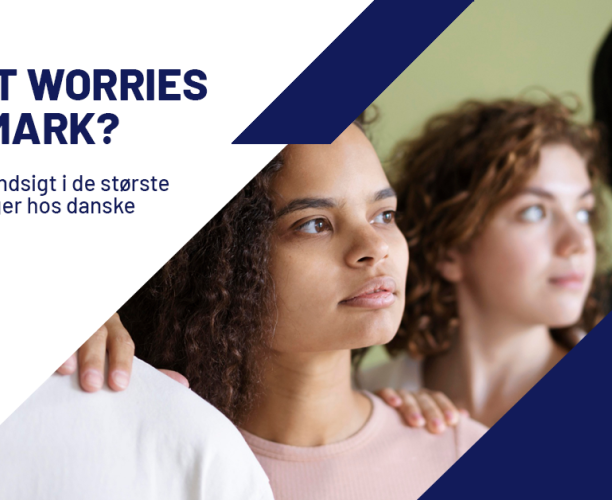 What Worries Denmark? - Maj 2025