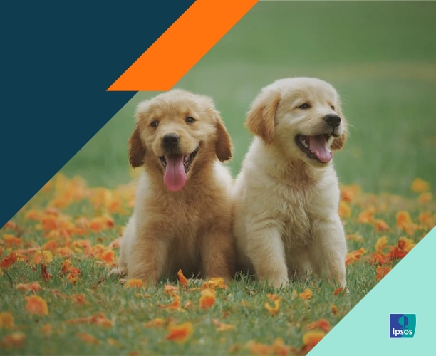 Despite 84% of Canadians Aged 55+ Recognizing Mental Health Benefits of Pets, just 44% have a furry friend.