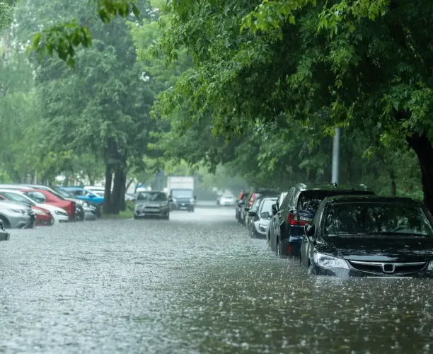 Ipsos bva | Changement climatique | Réseau Action Climat