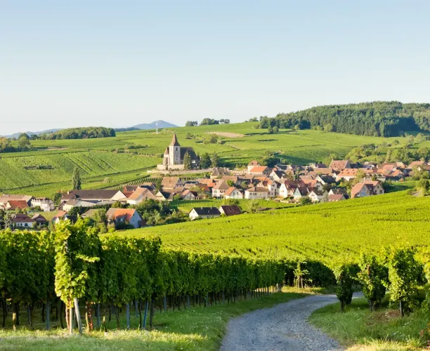 Observatoire de la ruralité 2025 | Association des Maires Ruraux de France