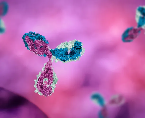 Image of antibodies