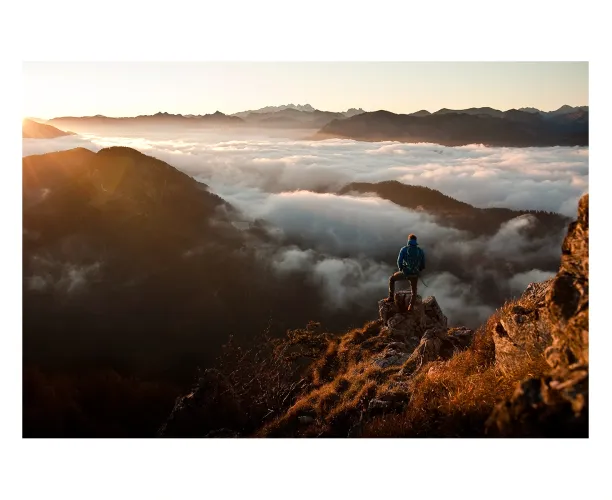 Ipsos Predictions 2026