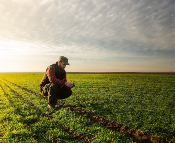 Salon | agriculture | 2026