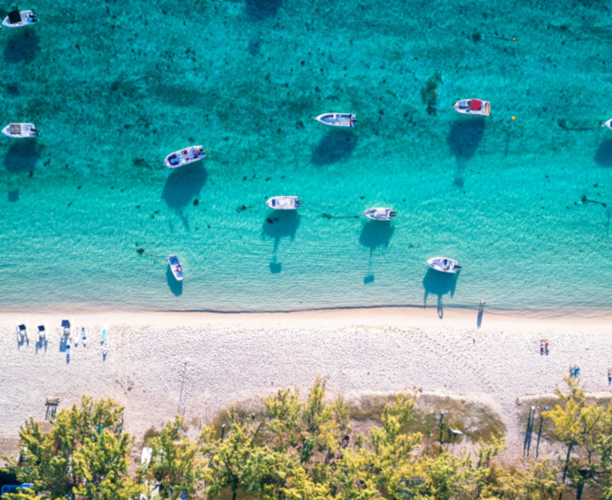 Explore the insights shaping tomorrow’s travelers