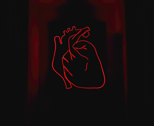 lOVE LIFE SATISFACTION 2025 ipsos