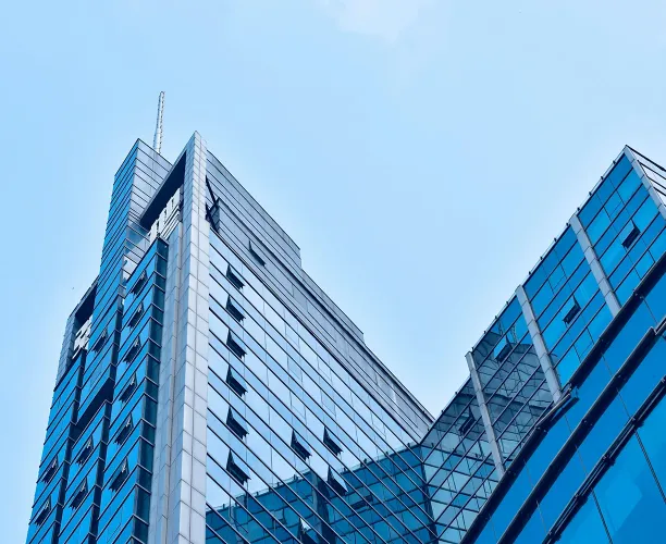 Impacts of Multinational Corporations (MNCs) - Ipsos