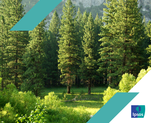 76% agree that recent forest fires have made them think about the need for reforestation and forest management