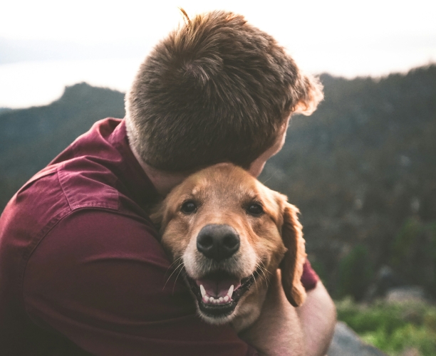 Pets: generations report