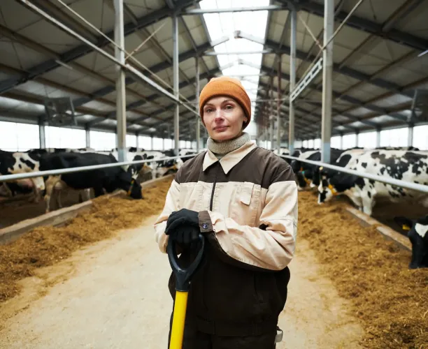 Agriculture | Élevage | Générations | Jeunes agriculteurs | ACTA