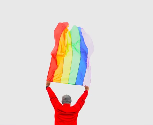 Sondage | LGBT+ | Diversité & Inclusion | Pride
