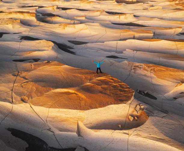 Ipsos Update - Enero 2026