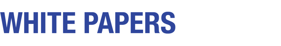 Ipsos | Brand Success | White papers